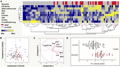 Kaposi’s Sarcoma-Associated Herpesvirus, but Not Epstein-Barr Virus, Co-infection Associates With Coronavirus Disease 2019 Severity and Outcome in South African Patients